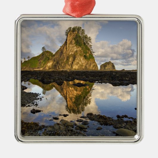 アメリカ、ワシントン、オリンピック国立公園。A メタルオーナメント (正面)