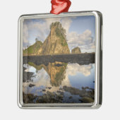 アメリカ、ワシントン、オリンピック国立公園。A メタルオーナメント (左)