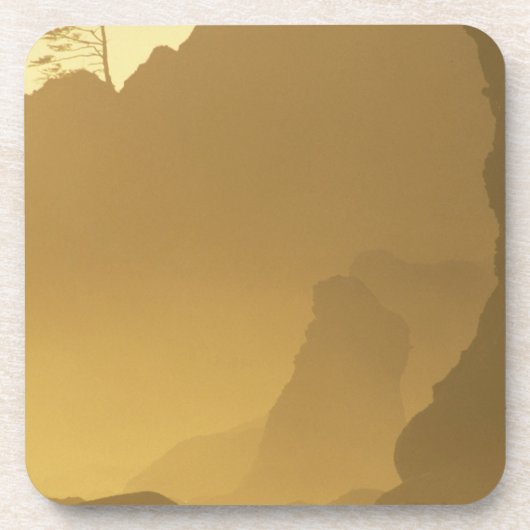 アメリカ，ワシントン，オリンピック·ナトル·パーク，サンセット， コースター (正面)