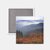 アメリカ、ワシントン、コロンビア川峡谷国家地区 マグネット (正面/裏面)