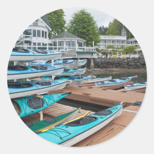 アメリカ、ワシントン、サンフアン諸島 ラウンドシール (正面)