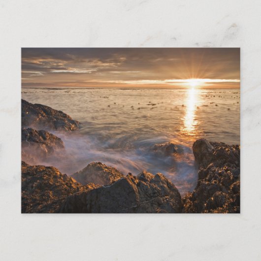 アメリカ、ワシントン、サンフアン諸島 劇的な ポストカード (正面)