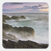 アメリカ、ワシントン、サンフアン諸島。波の衝突 スクエアシール (正面)