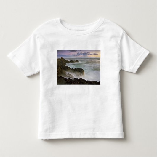 アメリカ、ワシントン、サンフアン諸島 波の衝突 トドラーTシャツ (正面)