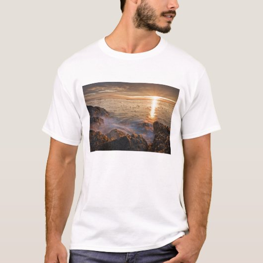 アメリカ ワシントン サン ファン諸島 壮大な Tシャツ (正面)