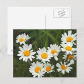 アメリカ ワシントン シアトル ピュージェットサウンド 3 ポストカード (正面/裏面)