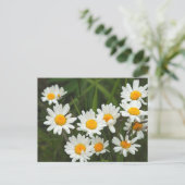 アメリカ ワシントン シアトル ピュージェットサウンド 3 ポストカード (スタンド正面)