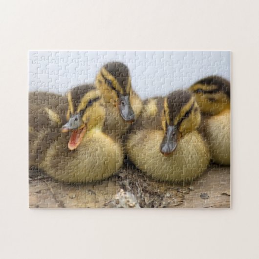 アメリカ、ワシントン、シアトル、ワシントン湖 ジグソーパズル (横)