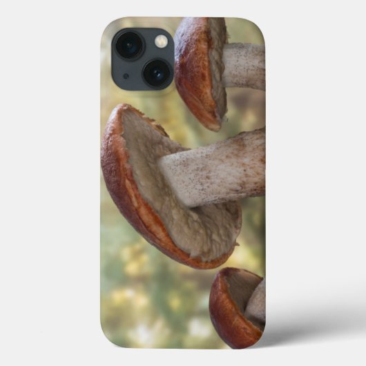 アメリカ、ワシントン、シーベック。インシニュ Case-Mate iPhoneケース (裏面)