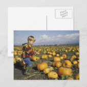 アメリカ、ワシントン、スノホミシュ。小さな男の子 ポストカード (正面/裏面)