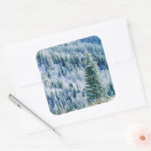 アメリカ，ワシントン，スポケーン山州公園，《植物》アスペン スクエアシール (封筒)