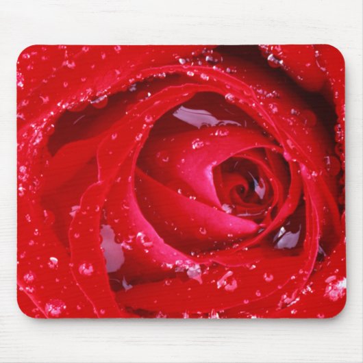 アメリカ、ワシントン、スポケーン郡、マニト公園 マウスパッド (正面)