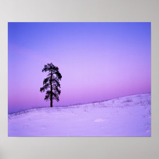 アメリカ、ワシントン、スポケーン郡、リバーサイド ポスター (正面)