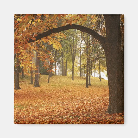 アメリカ,ワシントン,スポケーン,マニト公園,秋2 マグネット (正面)