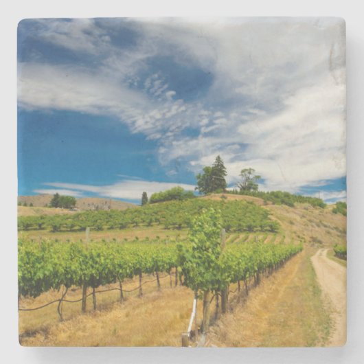 アメリカ、ワシントン、チェラン湖。ブドウ園3 ストーンコースター (正面)