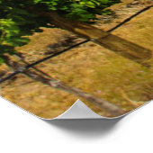 アメリカ、ワシントン、チェラン湖。ブドウ園3 ポスター (角)