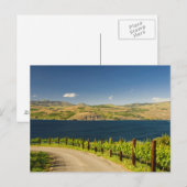 アメリカ、ワシントン、チェラン湖。ブドウ畑 ポストカード (正面/裏面)