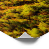 アメリカ、ワシントン、チェラン湖。ベンソンヴィンヤード ポスター (角)