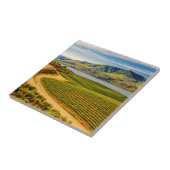 アメリカ、ワシントン、チェラン湖。ベンソン·ヴィネヤーズ タイル (側面)