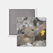 アメリカ、ワシントン、ノース・カスカデス国立公園、 マグネット (正面/裏面)