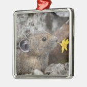 アメリカ、ワシントン、ノース・カスカデス国立公園、 メタルオーナメント (左)