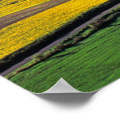 アメリカ、ワシントン、パルーズ、ウィットマン郡2 ポスター (角)