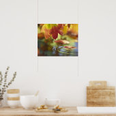 アメリカ、ワシントン、ベリンガム、秋のクローズアップ ポスター (キッチン)