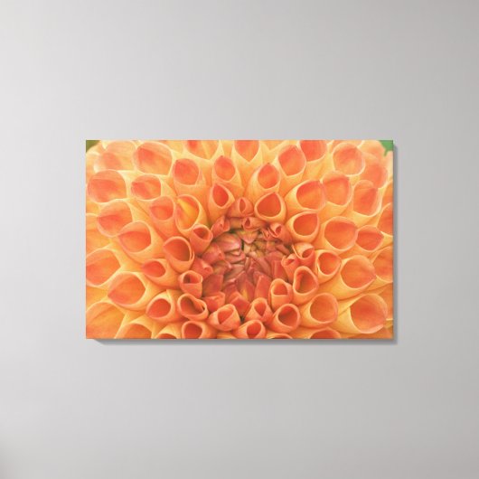 アメリカ，ワシントン，ベルビュー，ベルビュー植物学3 キャンバスプリント (正面)