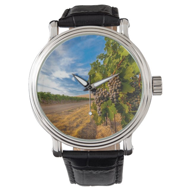 アメリカ、ワシントン、ヤキマ谷。メルロブドウ 腕時計 (正面)