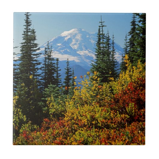アメリカ、ワシントン、レイニア山国立公園2 タイル (正面)