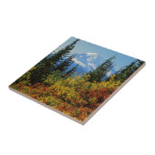 アメリカ、ワシントン、レイニア山国立公園2 タイル (側面)