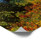 アメリカ・ワシントン・レイニア山国立公園2 ポスター (角)