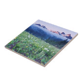 アメリカ、ワシントン、レイニア山国立公園4 タイル (側面)