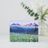 アメリカ、ワシントン、レイニア山国立公園4 ポストカード (スタンド正面)