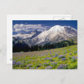 アメリカ、ワシントン、レイニア山国立公園。 ポストカード (正面/裏面)