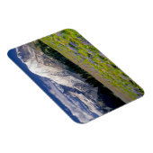 アメリカ、ワシントン、レイニア山国立公園。 マグネット (右側)