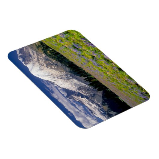 アメリカ、ワシントン、レイニア山国立公園。 マグネット (右側)