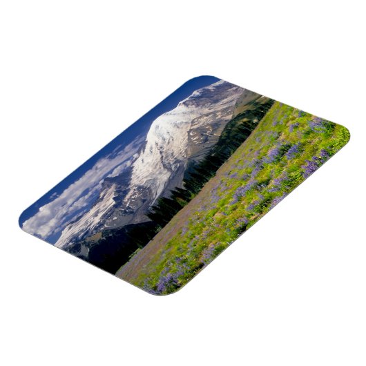 アメリカ、ワシントン、レイニア山国立公園。 マグネット (左側)