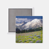 アメリカ、ワシントン、レイニア山国立公園。 マグネット (正面/裏面)
