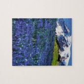 アメリカ、ワシントン、レイニア山国立公園。山 ジグソーパズル (横)