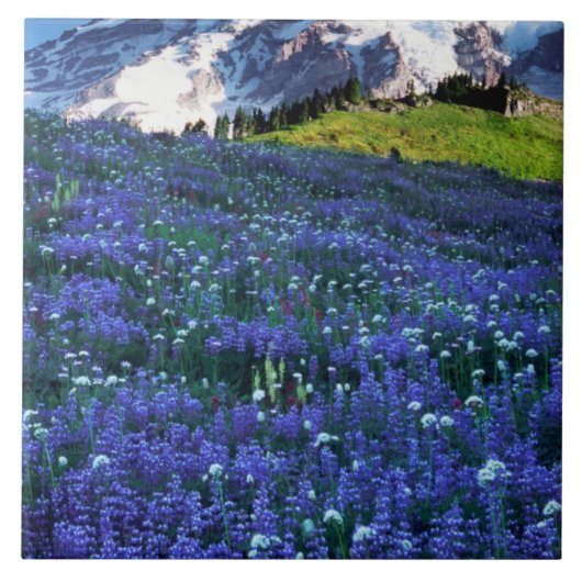 アメリカ、ワシントン、レイニア山国立公園。山 タイル (正面)