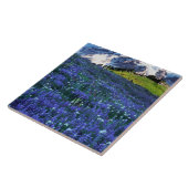 アメリカ、ワシントン、レイニア山国立公園。山 タイル (側面)