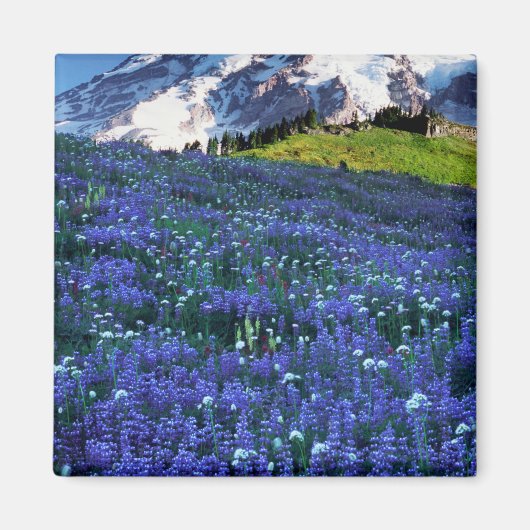 アメリカ、ワシントン、レイニア山国立公園。山 マグネット (正面)