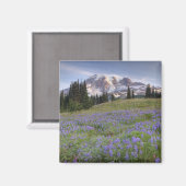 アメリカ、ワシントン、レイニア山NP、レイニア山 マグネット (正面/裏面)