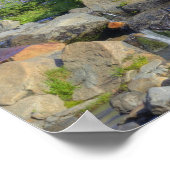 アメリカ、ワシントン、レイニエ山NP、レイニエ山と2 ポスター (角)