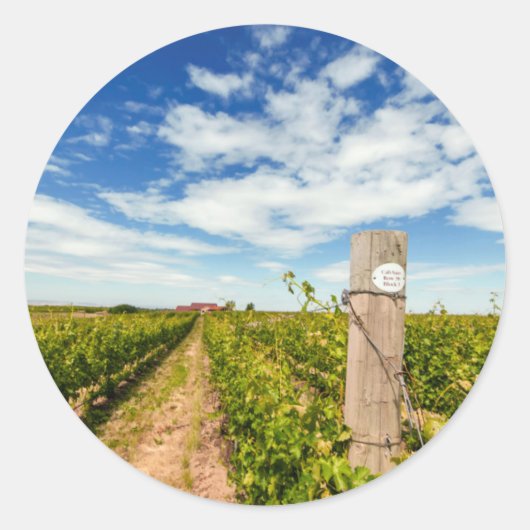 アメリカ、ワシントン、ワラ・ワラ。カベルネットソーヴィニヨン ラウンドシール (正面)