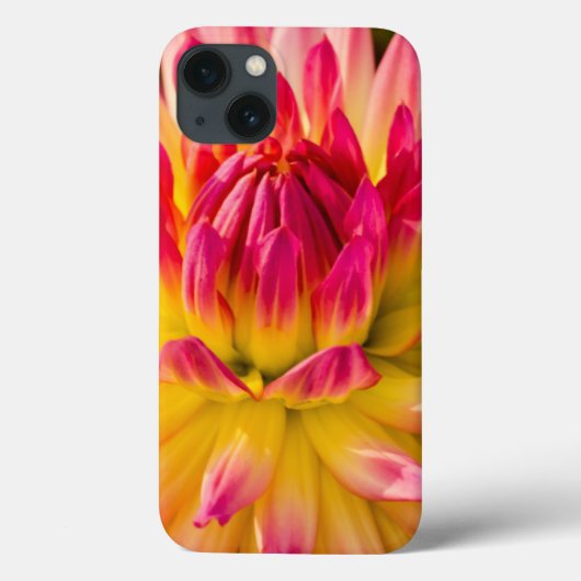 アメリカ、ワシントン。詳細 Case-Mate iPhoneケース (裏面)