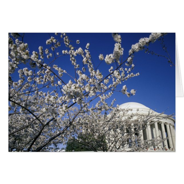 アメリカ、ワシントンD.C. 桜祭りと2 (正面横)