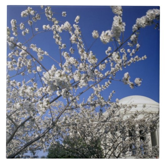 アメリカ、ワシントンD.C. 桜祭りと2 タイル (正面)