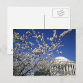 アメリカ、ワシントンD.C. 桜祭りと2 ポストカード (正面/裏面)